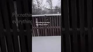 #usa #snow #2024shorts #september