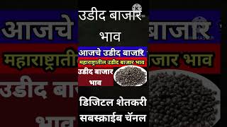 # Udit Bazar bhav# Udit market rate Bhav today # महाराष्ट्रातील आजचे वडील बाजार भाव