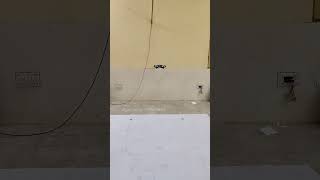 Pluto drone hovering using PID control