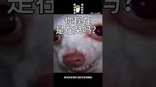 【搞笑配音】喝水有益身体健康