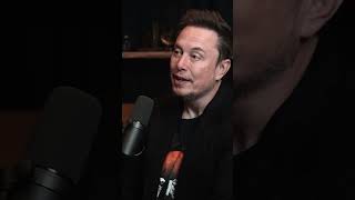 Elon Musk on Israel-Palestine