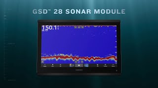 Garmin | GSD 28 | Sonar Module