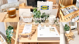 ［IKEA］⸜ 久しぶりのまとめ買い⸝‍ 購入品紹介｜新商品｜イケアのおすすめアイテム🪴🇸🇪