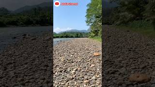 Our journey in search of the sound of flowing rivers #NatureSounds #RiverVibes #indonesia #Shorts