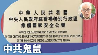 程翔 ：人大釋法賦予國安委更大權力，迴避國際譴責，擬修改律師條例，嚴重破壞香港法治。