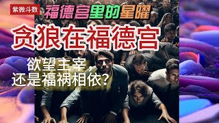 【紫微斗数分享】【福德宫里的星曜】：贪狼在福德宫的精神世界| 命宫主星：天府 紫微天府 廉贞天府 武曲天府| #福德宫 #贪狼 #紫微贪狼 #廉贞贪狼