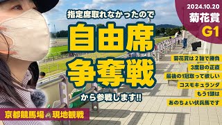【菊花賞】京都競馬場現地観戦！！推し馬コスモキュランダよ！3度目の正直、最後の一冠取ってくれ！！