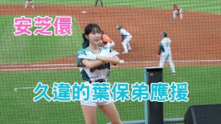 安芝儇 久違的葉保弟應援 保弟安打大家歡呼 안지현 WingStars 台鋼雄鷹 中華職棒 中職