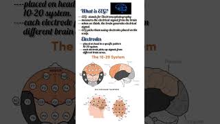 What is EEG? Electrode Placement #eeg #bci #ai #education #electrodes #bcii