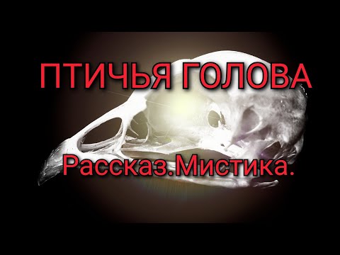 ПТИЧЬЯ ГОЛОВА.Рассказ.Мистика.#смерть #страшилки #ужасы #мистика #бабка