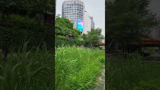 청계천 비오는 날 2023.05.18