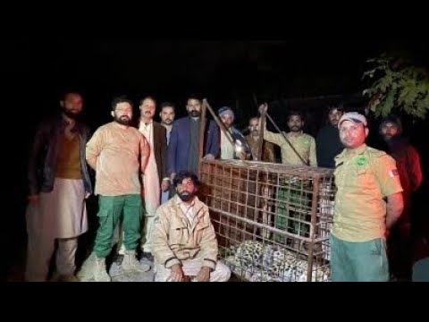Islamabad DHA cheetah Attack 2023 | 6 injured | اسلام آباد ڈی ایچ اے پر چیتے کا حملہ