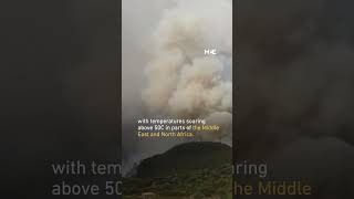 Algeria wildfires claim 34 lives amidst record-breaking heatwave