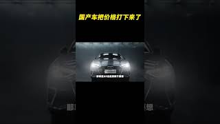 国产车果然把价格打下来了