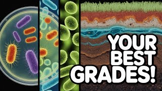 Crush Your 2025 Mid-Term: Introduction to Ecology