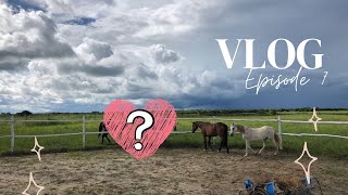 Two new horses join the herd! | vlog 7
