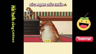 Vui cùng Cheems Bá Đạo #cheems #cheemsdog #funny #haihuoc