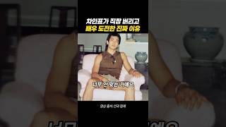 차인표가 25살에 해운회사 그만두고 배우 도전한 진짜 이유