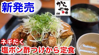 からやまの新発売「ネギだく塩ポン酢つけから定食」は、爽やかでクセになるメニューだった‼️