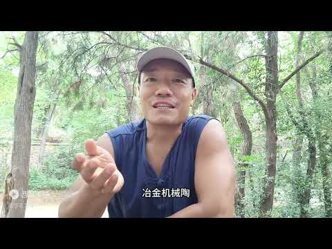 逼疯自己，卷死他人！缺心眼的淄博有多“卑微”，其它城市学不了