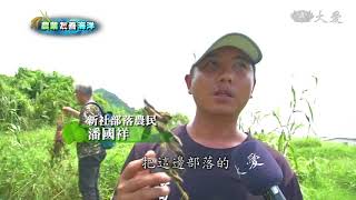 「里山里海」借鏡日本  港口部落拚雙贏