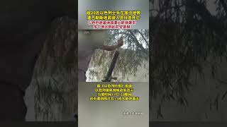 超20名以色列士兵在加沙地带遭巴勒斯坦武装人员伏击死亡。以色列谢莫纳城遭火箭弹袭击。#巴以冲突