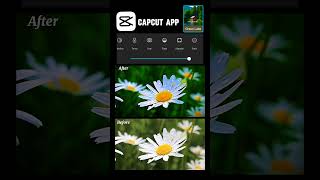 "How to Color Grading with CapCut | Easy Tutorial 2024