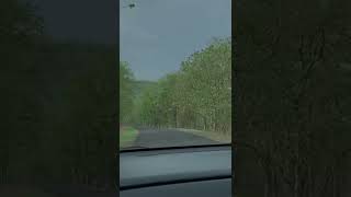 #bherughat #india’scarvlogger#madhyapradesh #nature #nqtcareers #mp09 #carvlogger #forest