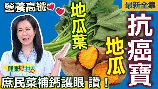健康好生活  20230911   抗癌寶-「地瓜、地瓜葉」 庶民菜補鈣又護眼！