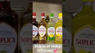 Virility of Vodca  in Poland 🍷