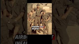 Silver Star Recipient Lt. Richard Flaherty 101st Airborne Vietnam #vietnamwar #history #giantkiller