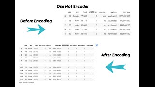 Data science :Feature Engineering | One Hot Encoding | Data Science projects