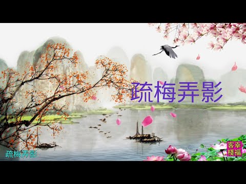 YPT09《疏梅弄影》心靈音樂｜休閒音樂｜佛教音樂｜禪修音樂｜太極拳背景音樂＞無痕加長珍藏版