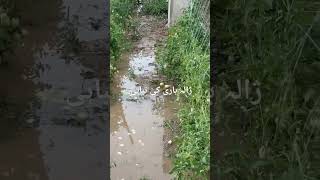 #hailstorm #agriculturelife #villagelife #garden #psl #pslfinal