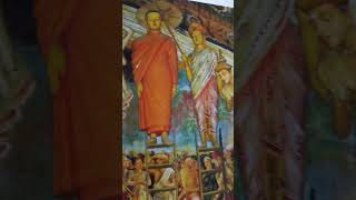 Buddha preached the Abhidharma from heaven and then came to Sankassapura 🙏🙏🌼🌼 #budha #sowarigpa
