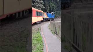 臺灣 阿里山森林鐵路小火車 交力坪車站