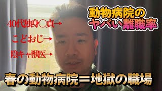 【獣医師解説】新人の2人に1人が3か月で辞めるヤバい職場～春の動物病院～