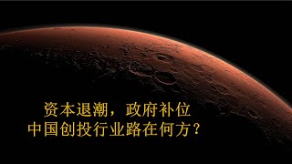 资本退潮，政府补位，中国创投行业路在何方？（2024年10月特辑）