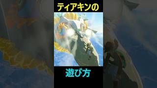 【 ティアキンの遊び方】　メガネ編 #ゼルダの伝説 #zelda #ゼルダの伝説ブレスオブワイルド #ゼルダの伝説ティアーズオブザキングダム