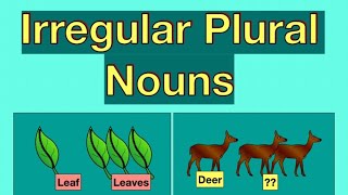 Irregular Plural Nouns || Singular and Plural Noun #english #englishgrammar