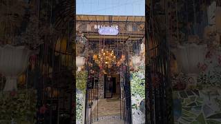 Bella vie cafe ||champa gali #champagali #delhicafe #shorts #party