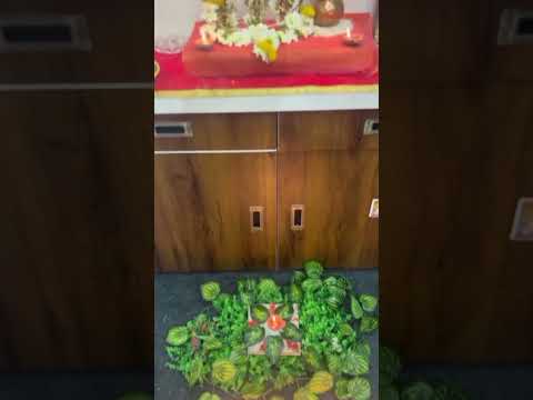 Pran Pratishtha Celebration | #shorts #shortsfeed #shortsviral #shortsvideo