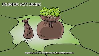 NBS Vid4 Fragile Five Are Not In Crisis FINAL
