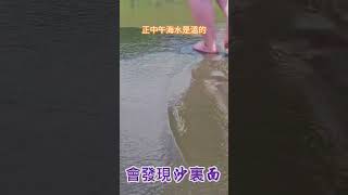 正中午海水是溫的#遊客#打卡#攝影#健身#運動#衝浪#游泳#生活#渲咖啡#去哪玩#景點#宜蘭#船#秘境#植物#外澳#假日好去處#cafe#熱門#travel#東北角#親子遊#海#火車#網紅#飛行傘