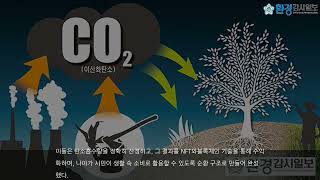 제 4화 탄소흡수원 플렛폼 특집!