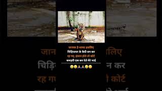 #motivation #heavenlbsnaa #upsc #motivational #motivationalquotes #shayri #yt #lbsnaa #sad #viral