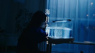 日向坂46 平岡海月『海月を育てる』