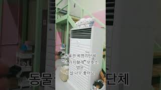 동물권 사단법인 비영리단체 "더 가치할개 "방문