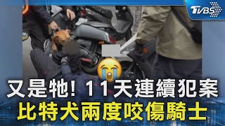 又是牠! 11天連續犯案 比特犬兩度咬傷騎士 ｜TVBS新聞 @TVBSNEWS02