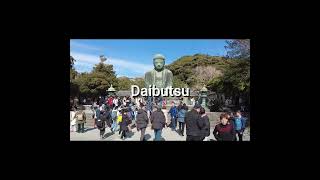 Shorts - #daytrip  to #kamakura #japan #travel #travelvlog #seetheworld #traveling  #japanesefood